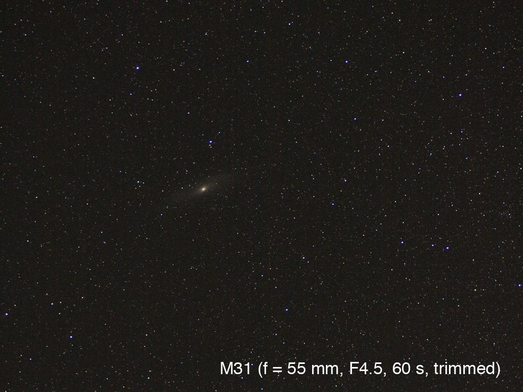 M31